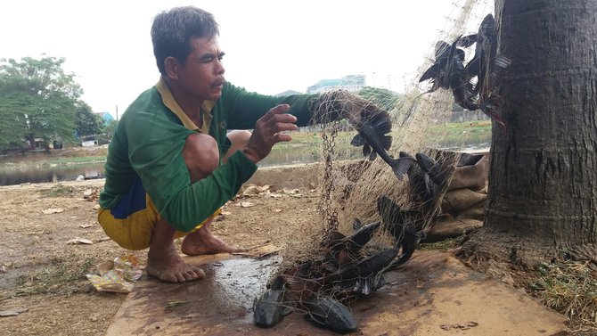 pencari ikan sapu sapu di kali bekasi