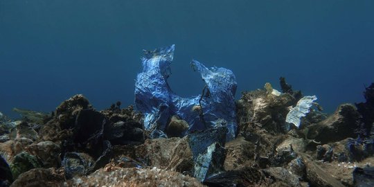 Miris, Beginilah Penampakan 'Terumbu Karang Plastik' di Yunani