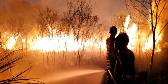 2 Hektare Semak Belukar di Ogan Ilir Kembali Terbakar