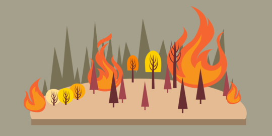 Kebakaran Hutan Meluas, BMKG Deteksi 126 Titik Panas di Riau