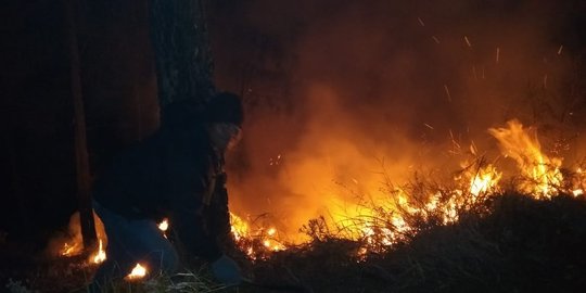 Pemadaman Kebakaran Hutan Gunung Arjuno Diusulkan Gunakan Water Bombing