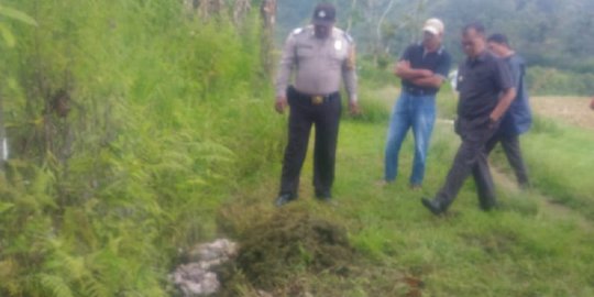 Pencurian Kerbau di Agam, Isi Perut Ditinggalkan Pelaku