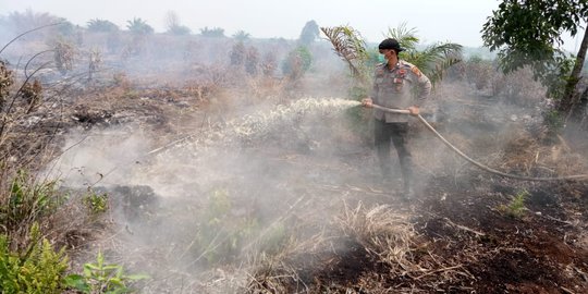 Lahan 50 Ha Milik Warga di Indragiri Hilir Terbakar, Pemadaman Terus Dilakukan