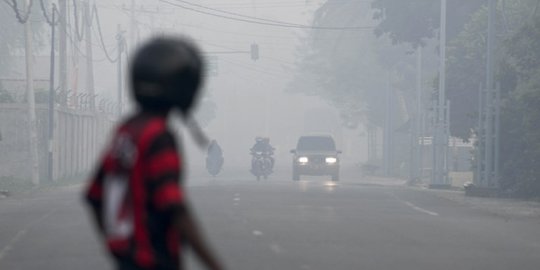 Riau di Selimuti Asap Kebakaran Hutan dan Lahan, Jarak Pandang 4-5 Kilometer