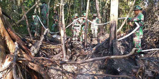 Menengok Upaya TNI dan Polri Padamkan Api di Lahan Terbakar di Pelalawan Riau