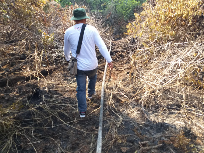 pemadaman kebakaran hutan di palalawan