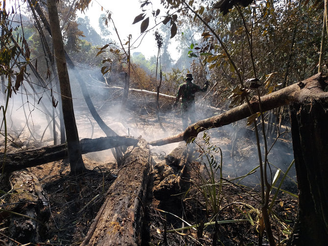 pemadaman kebakaran hutan di palalawan