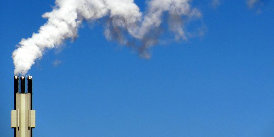 Polusi Udara Sumbang Empat Persen Kasus Kanker Paru-Paru