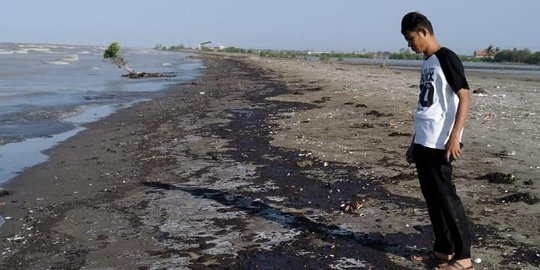 Pemkab Karawang Bentuk Timsus Kebocoran Minyak Pertamina