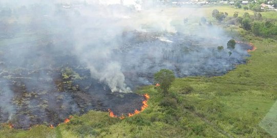 Kebakaran Hutan Masih Parah, Titik Panas Paling Banyak di Siak