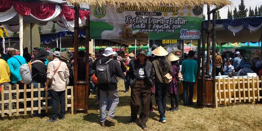 Domba Khas Banjarnegara Dipamerkan di Dieng Culture Festival 2019