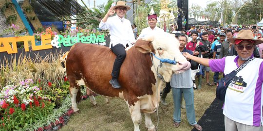 Jelang Hari Raya Idul Adha, Banyuwangi Gelar Cattle and Pets Festival