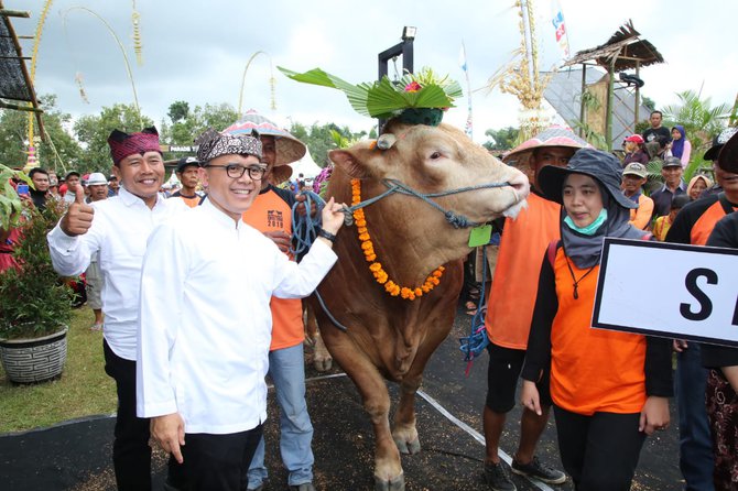 banyuwangi gelar cattle and pets festival