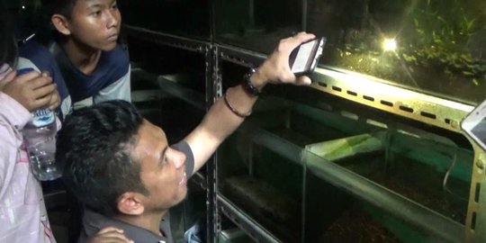 Imbas Listrik Padam, Pedagang Ikan di Jakarta Terancam Rugi Ratusan Juta