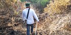 Bakar Lahan 2,5 Hektare, Warga Kubu Raya Diciduk TNI