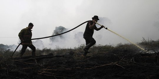 Konsesi Anak Perusahaan Sinarmas Group di Siak Terbakar 5 Hektare