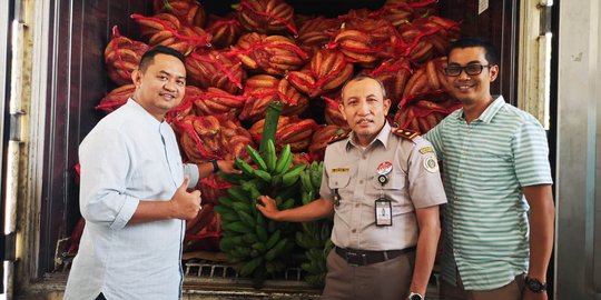 Pisang Indonesia Masuk Pasar Malaysia