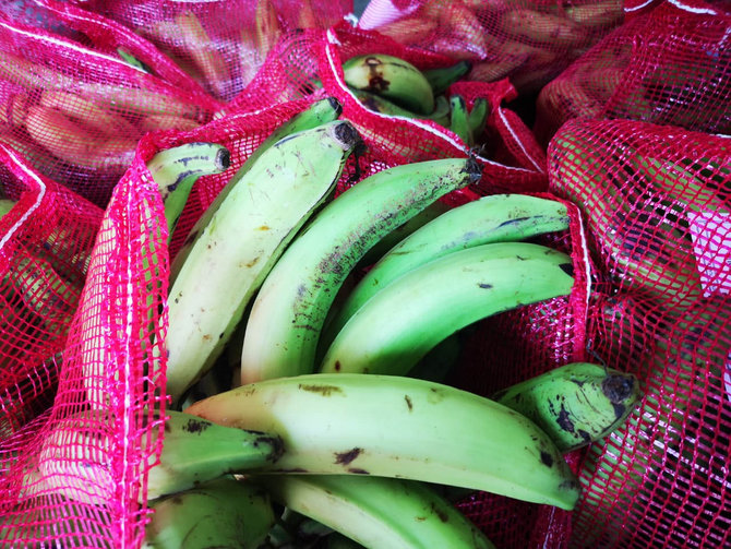 pisang indonesia masuk pasar malaysia