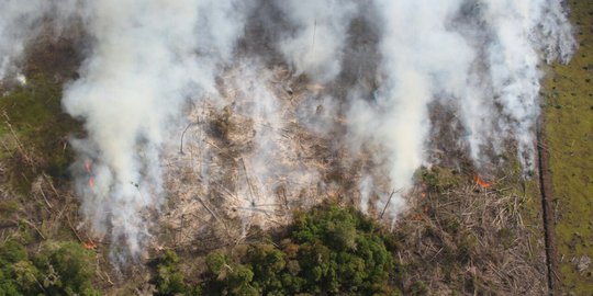 Hingga Awal Agustus 2019, Lahan Terbakar di Sumsel Capai 257 Hektare