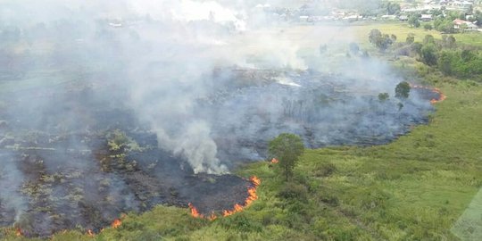 Pekanbaru Diselimuti Asap Hasil Kebakaran Lahan, Jarak Pandang Hanya 1,5 Km