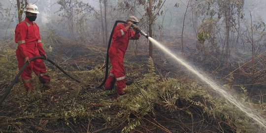Kebakaran Lahan 6 Kecamatan di Indragiri Hilir Sumbang Titik Api