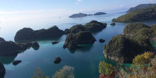 Gempa Bumi M 2,9 Goyang Raja Ampat Pagi Ini