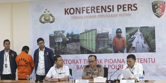 Polisi Tangkap Dalang Pembalakan Liar di Hutan Jambi dan Sumsel