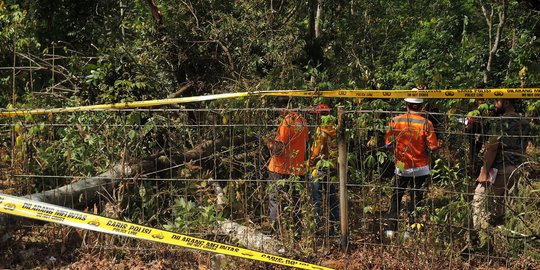 Ini Lokasi SUTET Gunungpati yang Diduga Penyebab Mati Listrik di Jakarta