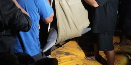 2 Lumba-Lumba Direlokasi dari Hotel Melka ke Pantai Mertasari Denpasar