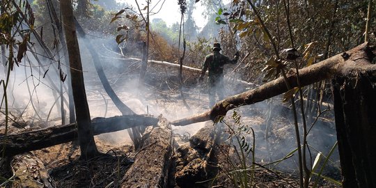 18 Lahan Desa di Riau Terbakar dalam Sehari, Termasuk Taman Nasional Zamrud