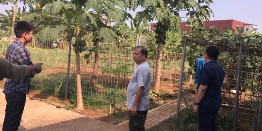 Mengenal Pupuk Dinosaurus yang Bisa Bikin Tanaman Jadi Raksasa