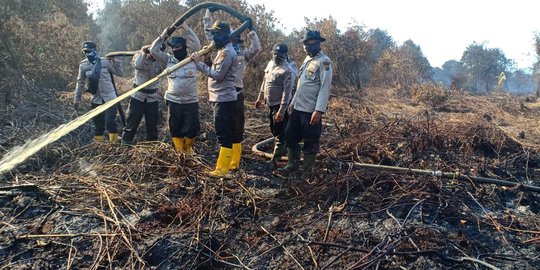 49 Titik Panas Terdeteksi di Seluruh Wilayah Riau Akibat Kebakaran Lahan