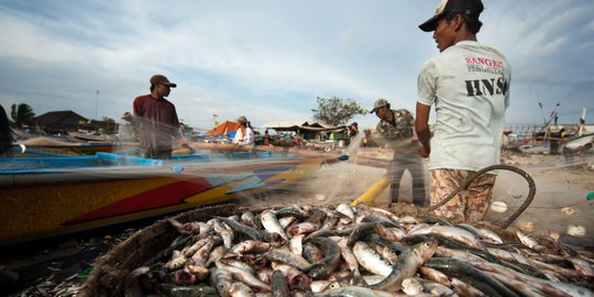 Tekan Stunting, KKP Ajak Masyarakat Garut Konsumsi Ikan