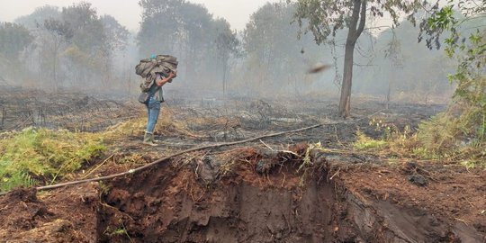 Polisi Masih Selidiki 5 Perusahaan terkait Kebakaran Hutan di Riau
