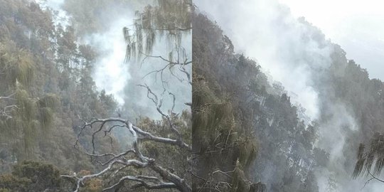 Status Tanggap Darurat Kebakaran Dicabut, Pendakian Gunung Arjuno Kembali Dibuka
