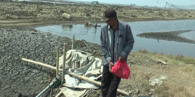 Petani Garam Karawang Tunda Produksi Khawatir Tumpahan Minyak Pertamina Makin Parah