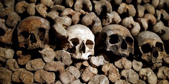 Polisi Duga Tulang Manusia Ditemukan di Jakarta Utara Telah Berusia Satu Tahun