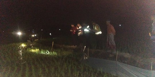 Petani di Ngawi Tewas Tersengat Listrik Jebakan Tikus Buatan Sendiri