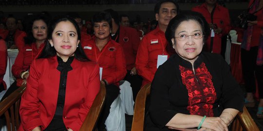 Puan Maharani Tanya Megawati: Saya Ditugasi Legislatif atau Eksekutif?