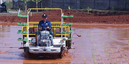 Peran Generasi Petani Milenial di Era Pertanian 4.0