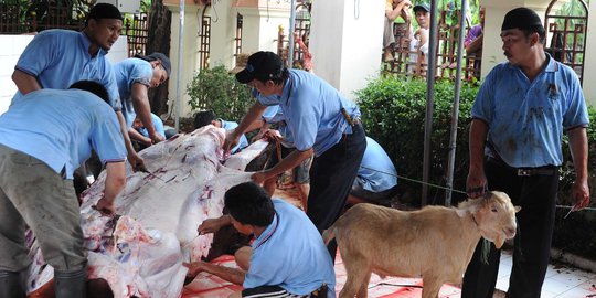 Inilah Lokasi Sasaran Distribusi Masakan Hewan Kurban Buatan Koki Hotel Bintang 5 DKI