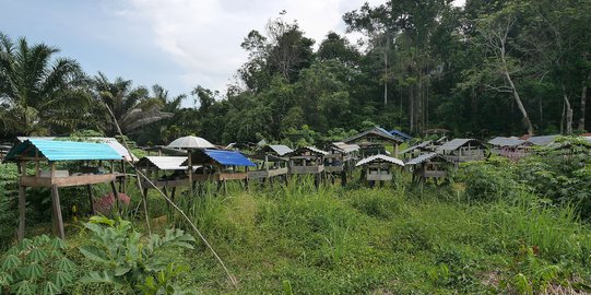 Dango Subur, Tradisi Unik Penguburan di Kalimantan