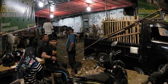 Pasokan Hewan Kurban di Pasar Minggu Kebanyakan dari Boyolali