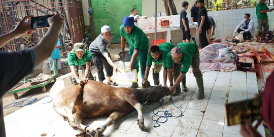 Melihat Hewan-hewan Kurban Disembelih di Masjid Sunda Kelapa