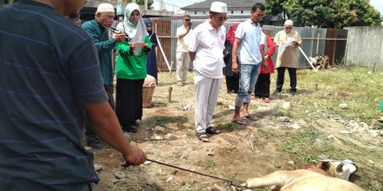 Ketika Prosesi Kurban Menarik Perhatian Para Turis Mancanegara di Padang