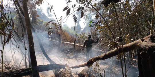 Api Bakar Lereng Sumbing Wonosobo Berhasil Dipadamkan