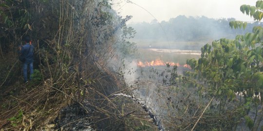 Dalam Sebulan, Kebakaran Hanguskan 16 Hektare Lahan di Samarinda