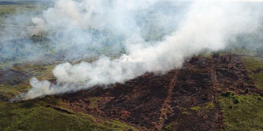 Kabut Asap Karhutla buat Kualitas Udara Memburuk di Kalbar dan Kalteng