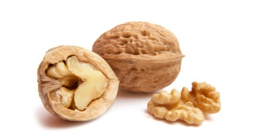 kacang kenari