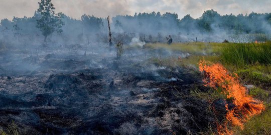 Pemkot Pontianak Liburkan Sekolah Imbas Kabut Asap Makin Parah